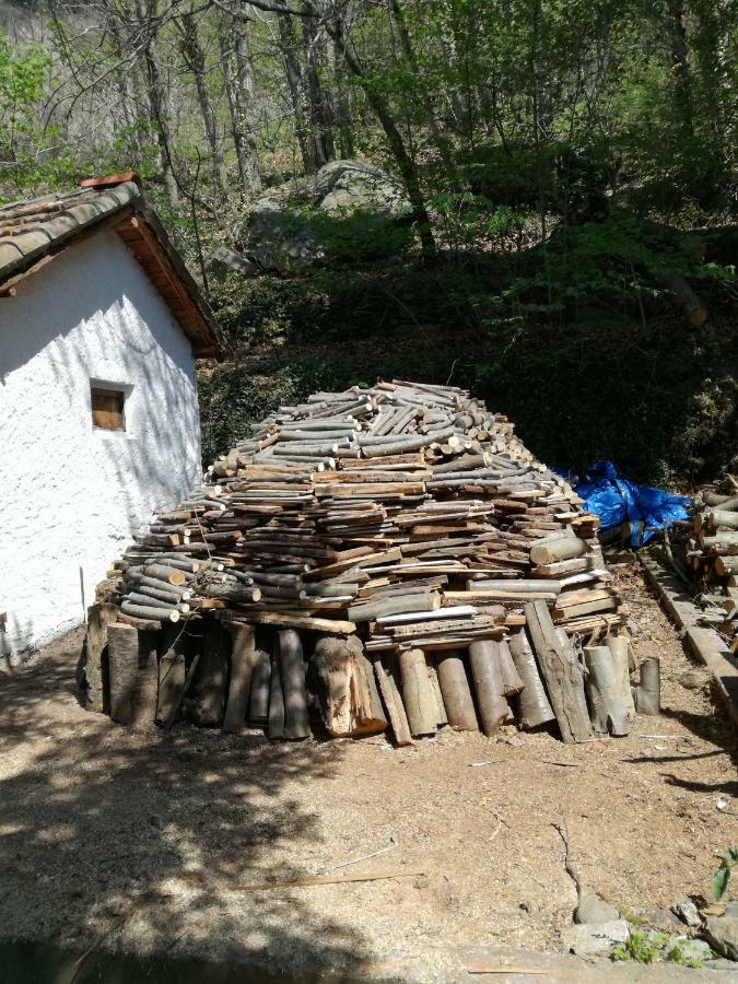 Berzuaia Bed & Breakfast Varazze Bagian luar foto