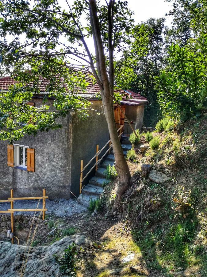 Berzuaia Bed & Breakfast Varazze Bagian luar foto