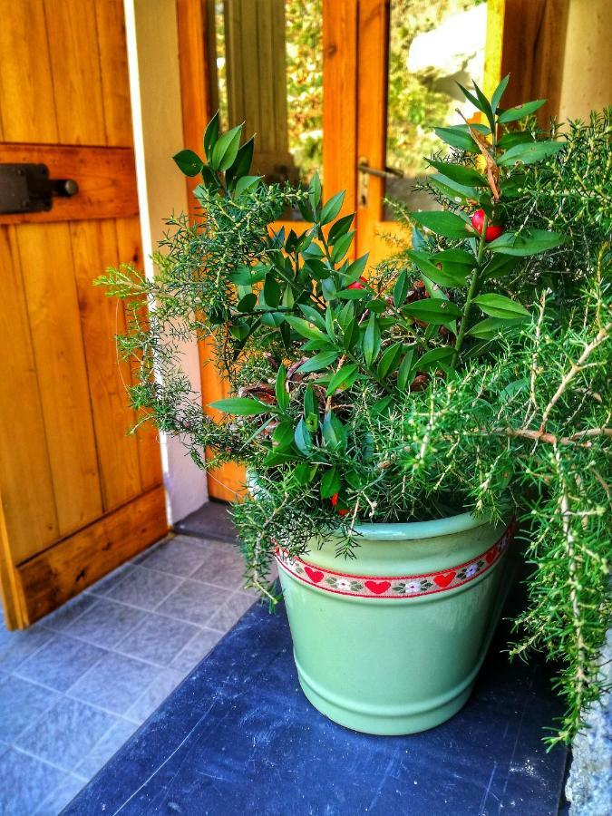 Berzuaia Bed & Breakfast Varazze Bagian luar foto