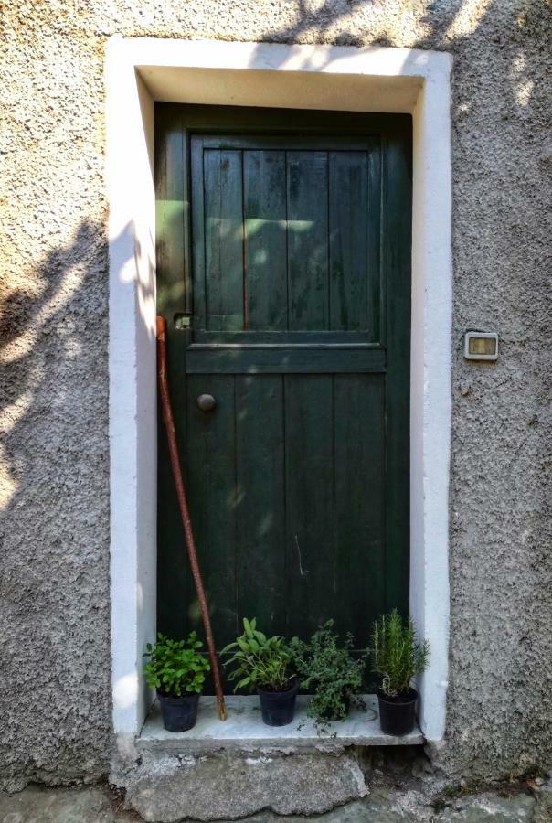Berzuaia Bed & Breakfast Varazze Bagian luar foto
