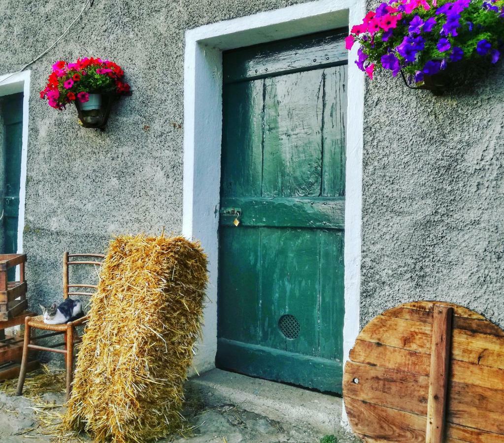Berzuaia Bed & Breakfast Varazze Bagian luar foto