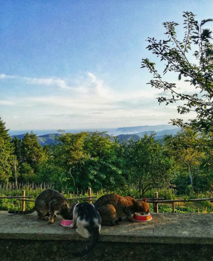 Berzuaia Bed & Breakfast Varazze Bagian luar foto